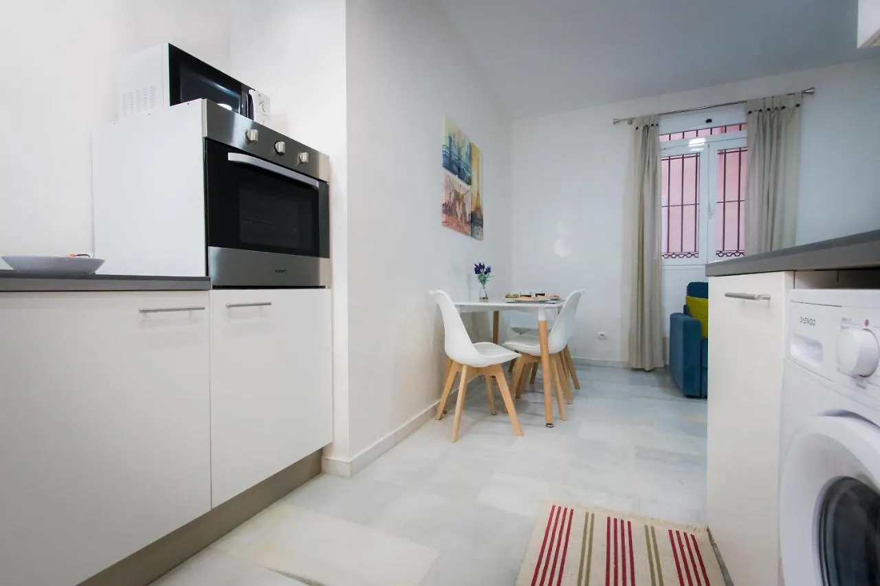 Holidays2Malaga Eduardo Ocon En Planta Baja Y Zona De Ocio Nocturno Apartment 0*, Malaga